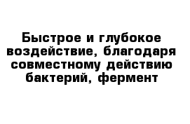 Быстрое и глубокое воздействие, благодаря совместному действию бактерий, фермент